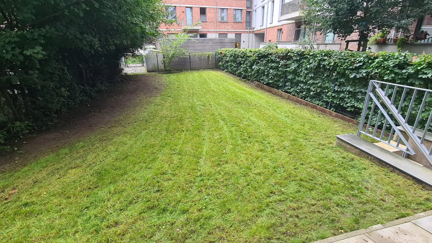 Gründliche Bodenpflege